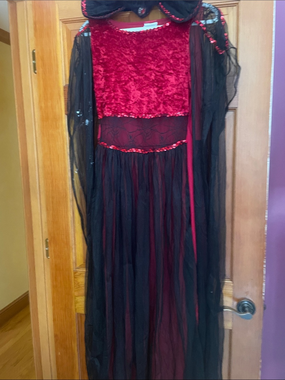Halloween Costume 8/10 with Sheer Overlay and neck collar